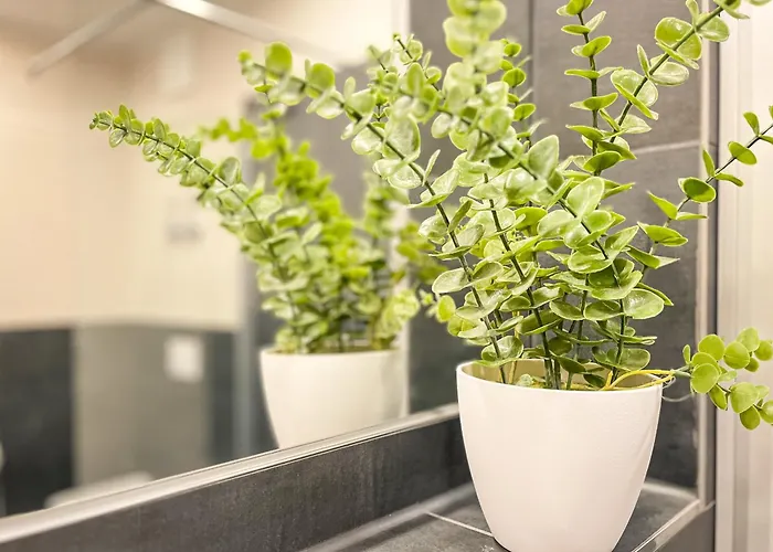 Baltischer Hof 31 * בולטנהאגן